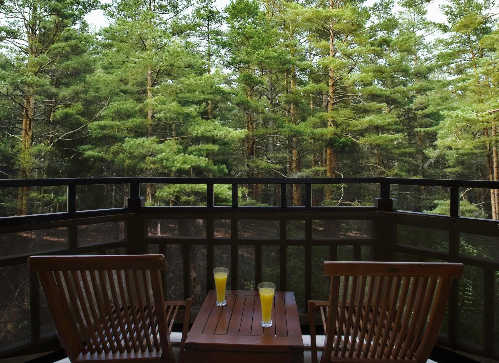Asteria Family Resort Belek أنطاليا المظهر الخارجي الصورة A view of the forest from the balcony of a guest room